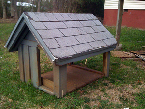 The Dog House Chicken Coop | BackYard Chickens