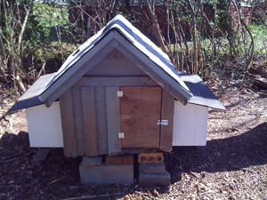 The Dog House Chicken Coop | BackYard Chickens