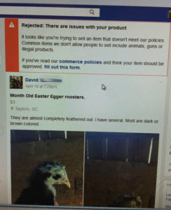 Facebook Ban on selling animals.