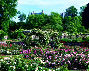 Biltmore Rose Garden Trellis