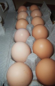 Farm Fresh Eggs