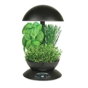 AeroGarden