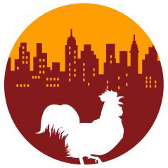 Chicken in the city