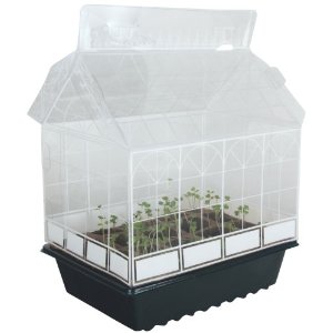 Grow Food Indoors