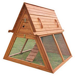 Chicken Coop