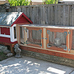 Build a chicken coop Photo: Allan Hack