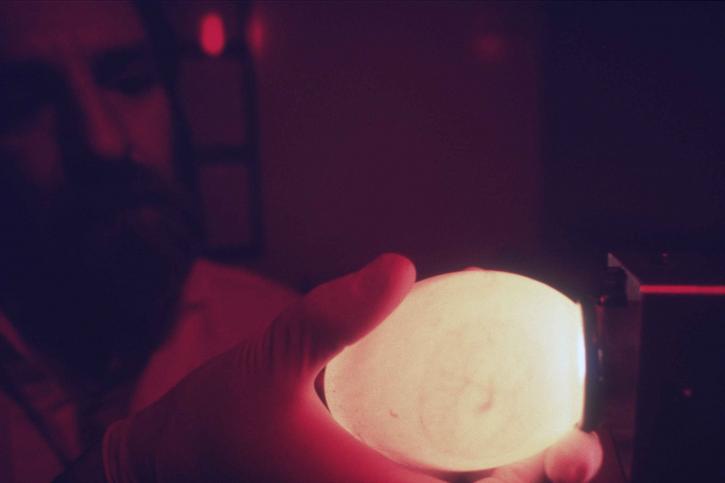 candling an egg - Photo: Garrison Ron