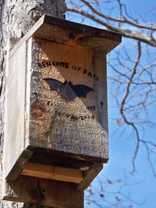 Bat house Photo: jeffesp0